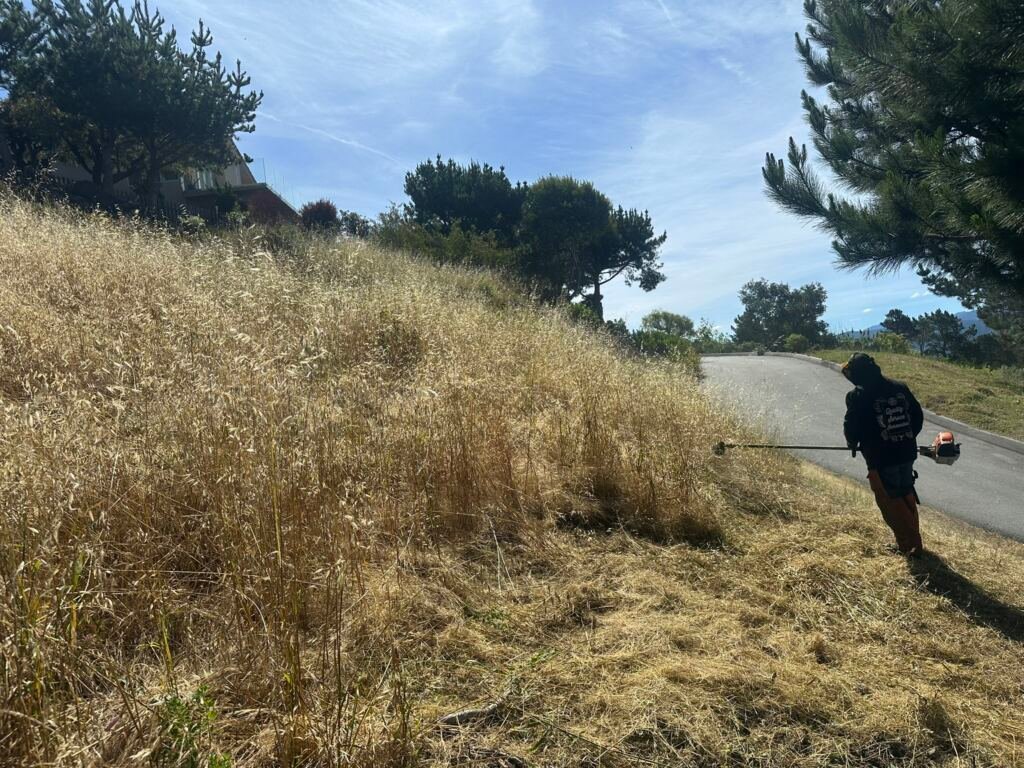 Weed Abatement Carmel, California — BEFORE