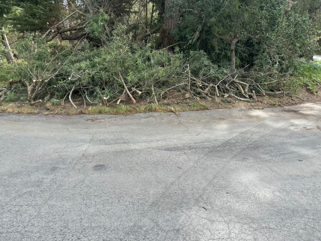 Despeje de camino por rama caída — Carmel, California — AFTER