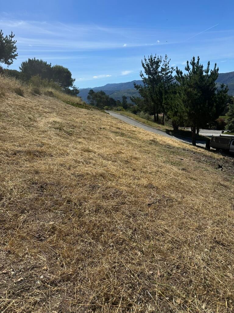 Weed Abatement Carmel, California