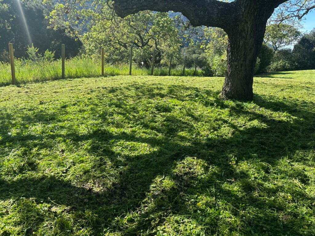 Weed Abatement Carmel Valley Village, California — AFTER
