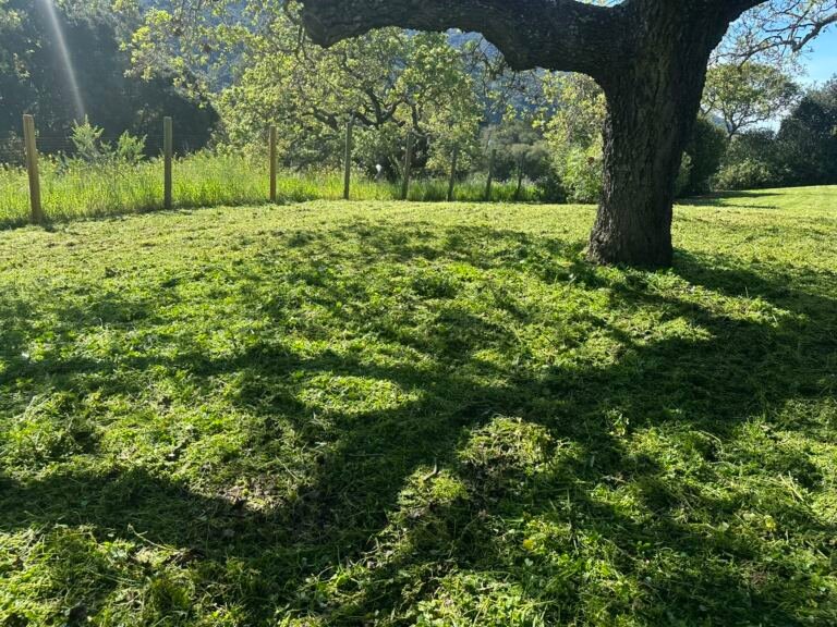 Weed Abatement Carmel Valley Village, California