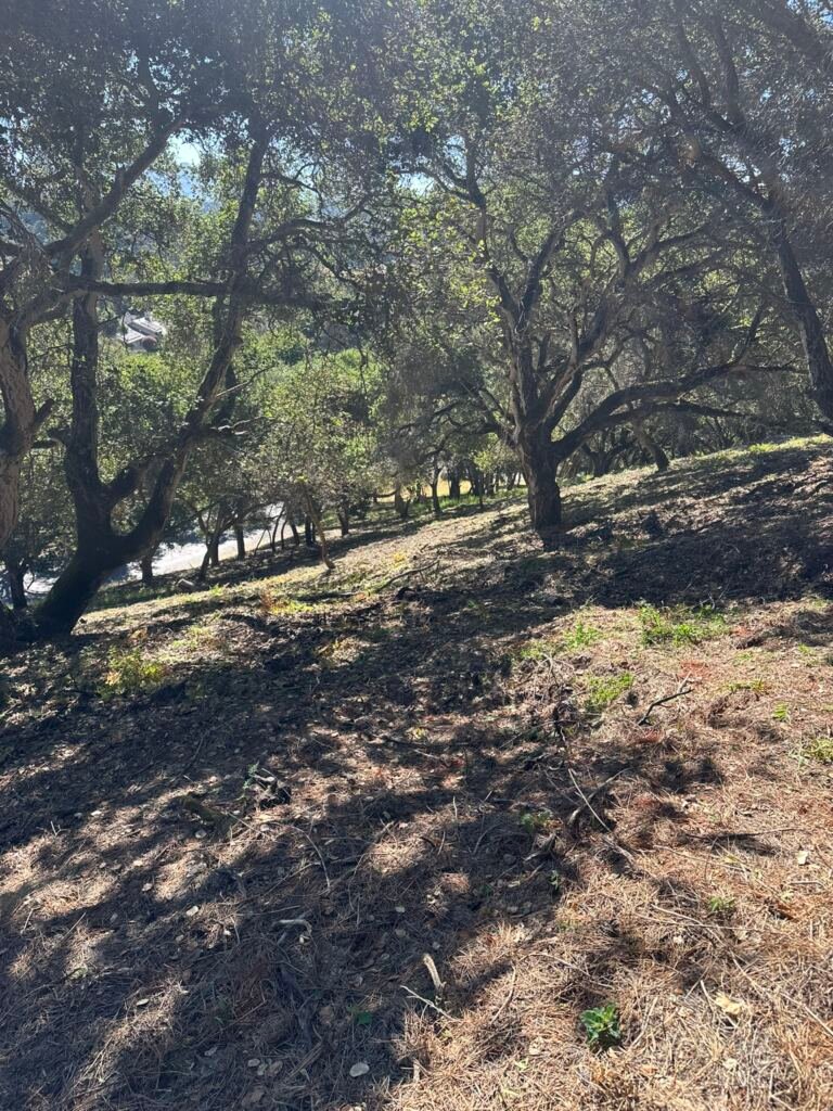 Weed Abatement Prunedale, California